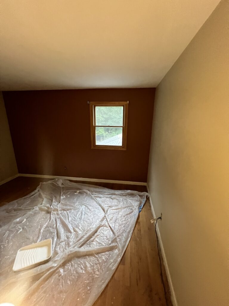 Flooring and Paint