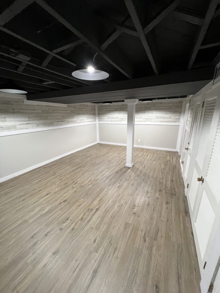 Basement Remodel