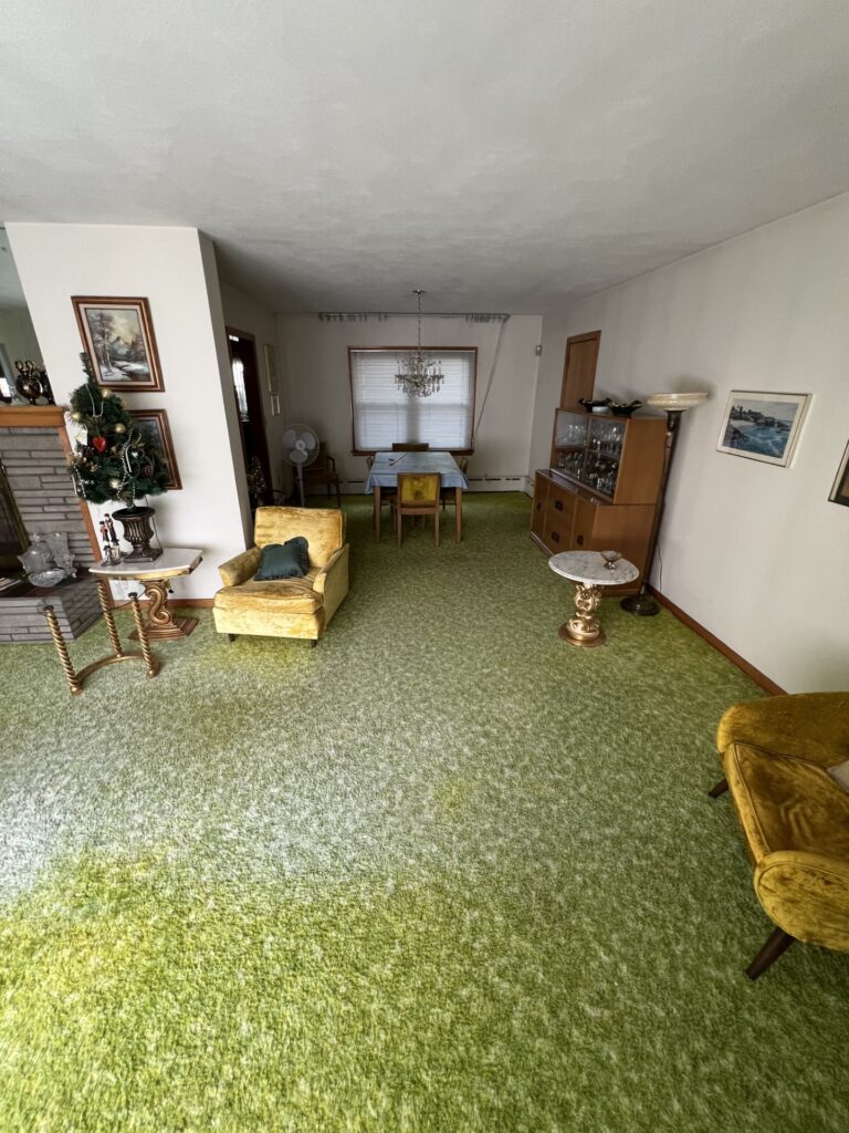 Vinyl Flooring Installation