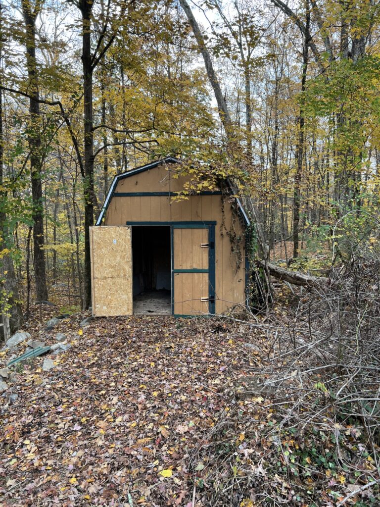 Shed Removal