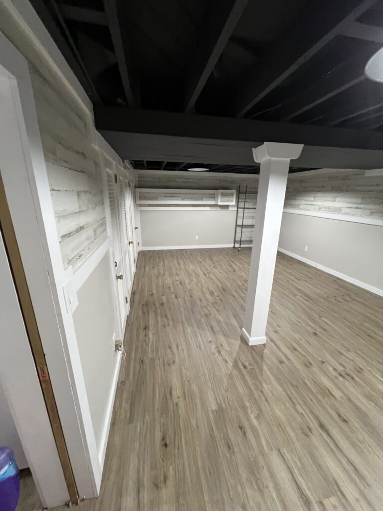Basement Remodel